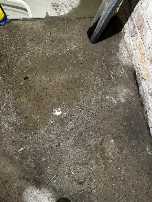Fuktig fläck och vattenansamlingar på ett betonggolv i en källare nära en murad vägg, med fuktspår runt fläcken och en fotavtryck på det torra området.
