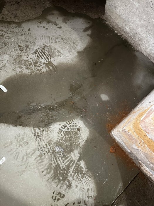 Fuktfläckar och vattenpölar på ett källargolv med synliga fotavtryck.