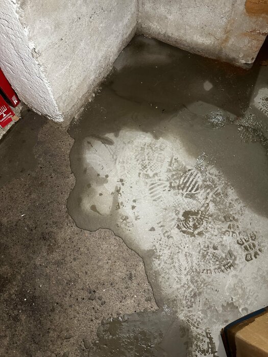 Fuktiga fläckar på betonggolvet i en källare, med några millimeter vattenansamling på vissa ställen nära väggarna.
