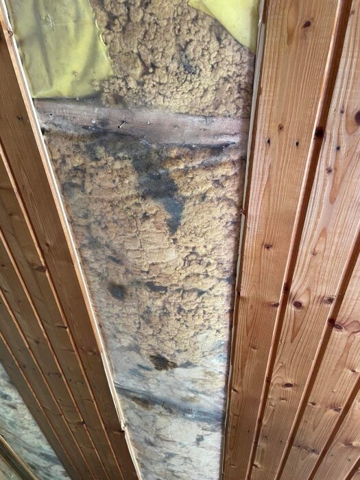Isolering och plast i taket med mörka fläckar synliga på isoleringen samt träpanel på sidorna.
