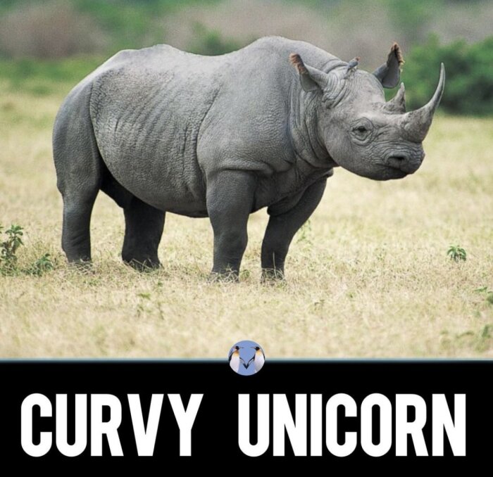 En noshörning står på en grässlätt med texten "Curvy Unicorn" under bilden.