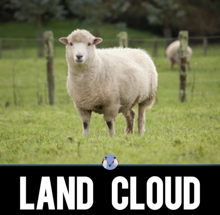 En får står på en grön äng med ett staket av trästolpar i bakgrunden och texten "LAND CLOUD" under.