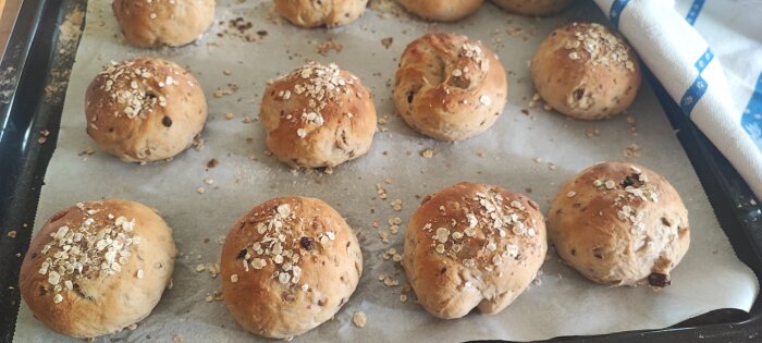 Brödfrallor med russin, solrosfrön, linfrön, toppade med havregryn, ligger på en bakplåtspappersklädd plåt redo att bakas.