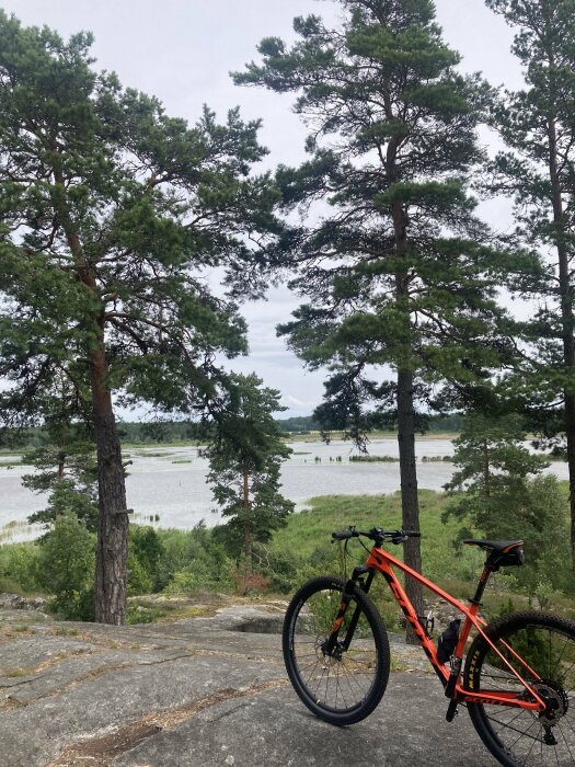 Orange cykel på en stenig klippa med tallar och en sjö i bakgrunden.