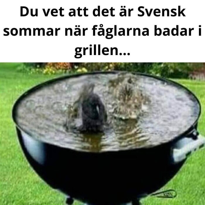 Fåglar badar i en grill fylld med vatten, med texten "Du vet att det är Svensk sommar när fåglarna badar i grillen" ovanför bilden.