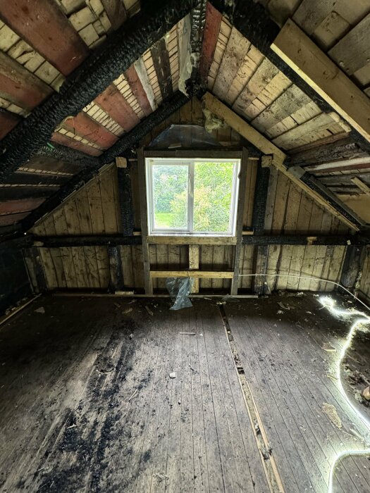 En gammal vind med träväggar och synliga reglar. Delar av taket och takstolarna är brända och golvet lerigt och delvis sönder. Ett fönster finns på ena väggen.