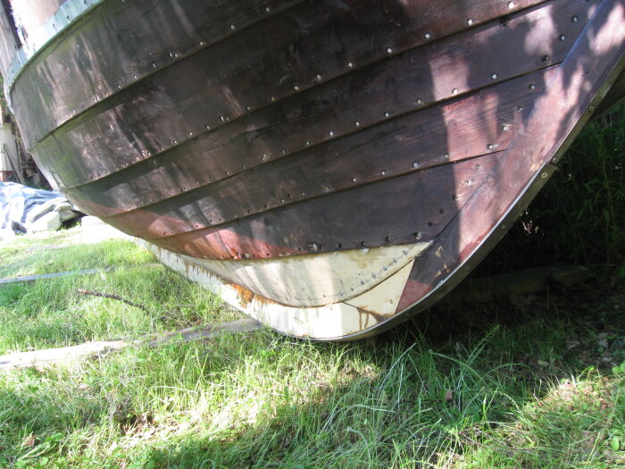 Botten av en träbåt under renovering med fokus på klinkbygge, liggande på gräsmatta.
