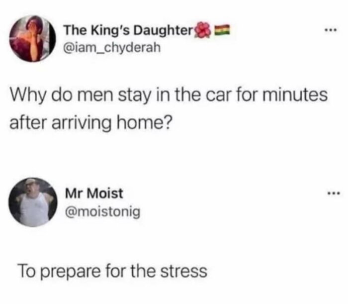 Skärmdump av ett Twitter-inlägg där användaren "The King's Daughter" frågar varför män sitter kvar i bilen efter att ha kommit hem och användaren "Mr Moist" svarar "To prepare for the stress".