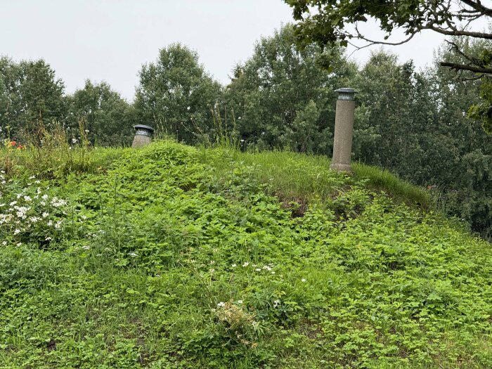Två cementrör med plåthattar sticker upp från marken på en grön kulle, omgivna av blommor och träd i bakgrunden.
