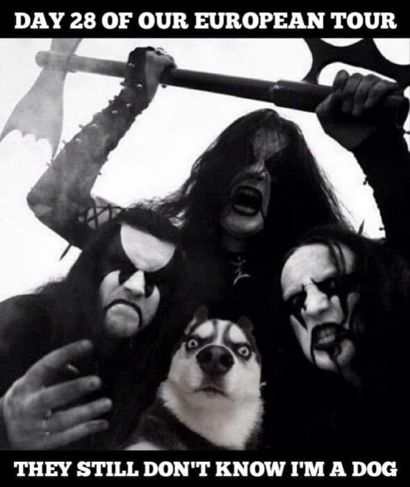 Tre personer med corpse paint och en hund med chockerad blick. Text ovan: "Day 28 of our European tour". Text nedan: "They still don't know I'm a dog".