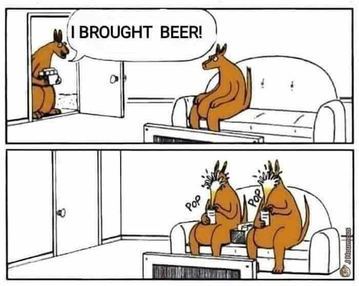 Två kängurur sitter i en soffa och öppnar burkar med öl, en annan känguru kommer in genom dörren med en back öl och säger "I BOUGHT BEER!".