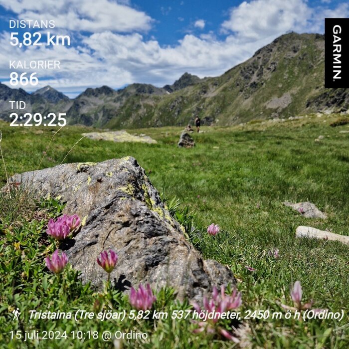 Stenig vandringsled med rosa blommor i förgrunden, grön landskap och berg i bakgrunden, mätdata från Garmin visar distans 5,82 km, kalorier 866, tid 2:29:25.