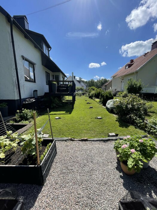 En trädgård med grön gräsmatta och växter, med betongplintar utplacerade för ett altanbygge. Grannhus på båda sidor av tomten. Klarblå himmel.