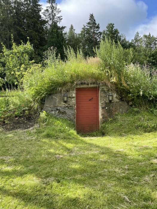 Röd dörr till jordkällare omgiven av gräs och grönska, med skog i bakgrunden och två lampor på vardera sidan av dörren.