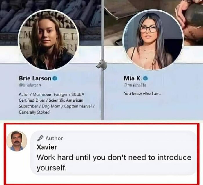 Skärmdump av två Twitter-profiler och en kommentar. Den ena profilen har namnet Brie Larson, den andra Mia K. Kommentar av Xavier: "Work hard until you don't need to introduce yourself.