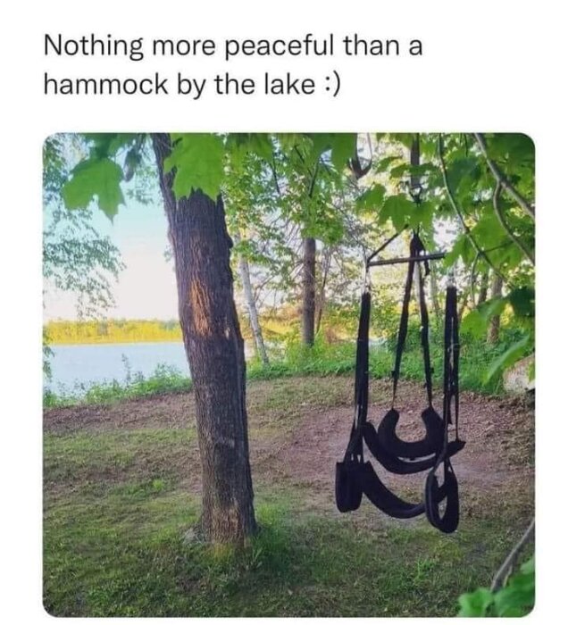 En svart hängmatta hänger mellan två träd, med utsikt över en sjö omgiven av grönskande natur.