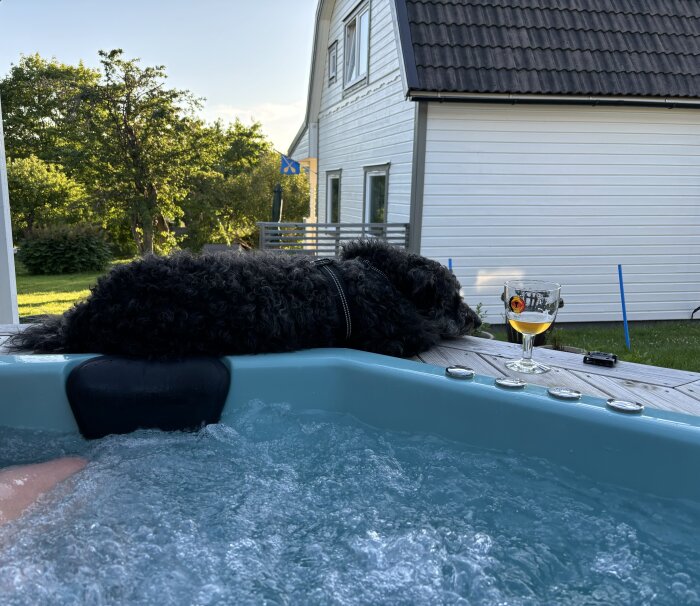 Hund liggande vid kanten av en bubbelpool, med ett glas dryck på kanten och ett vitt hus i bakgrunden.