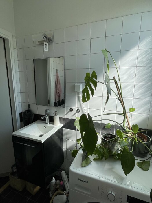 Badrum med vita kakelplattor, svart kommod med tvättställ, väggspegel och en klätterväxt ovanpå en Whirlpool-tvättmaskin.