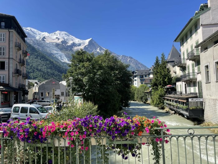 Utsikt över en flod i Chamonix, Mont Blanc, med blommande blommor på en bro i förgrunden och snötäckta berg samt byggnader i bakgrunden under en klarblå himmel.