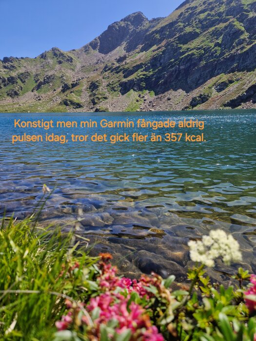 En fjällsjö med klart vatten omgiven av berg, med blommor och gräs i förgrunden. Texten på bilden nämner problem med att registrera puls och kalorier.