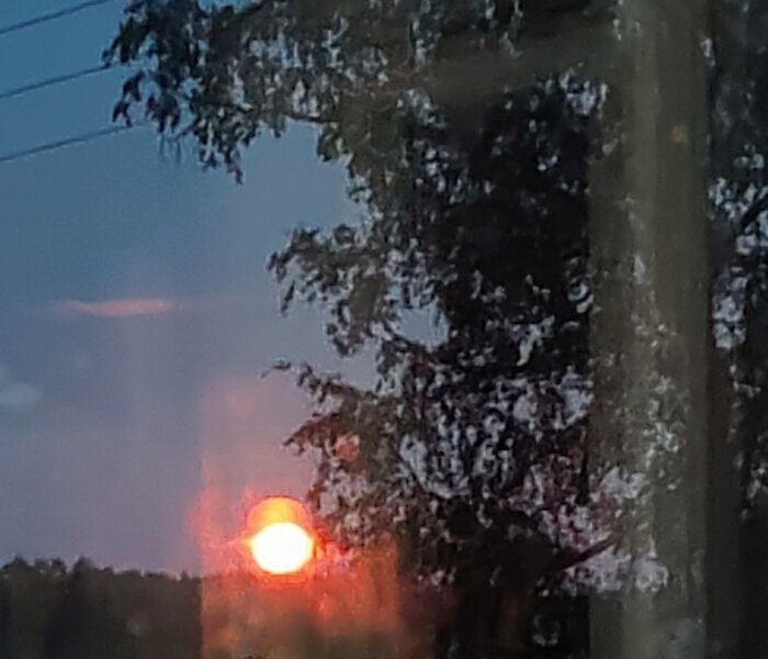 Suddig bild på en stor, orangelysande måne delvis skymd av träd och kraftledningar mot en mörk himmel.