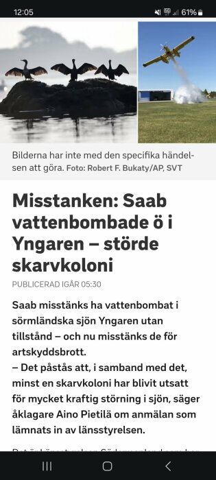 Fåglar med utsträckta vingar på en klippa till vänster och ett gult flygplan släpper ut vatten på höger sida. Text om Saab misstänks ha stört en skarvkoloni i sjön Yngaren.