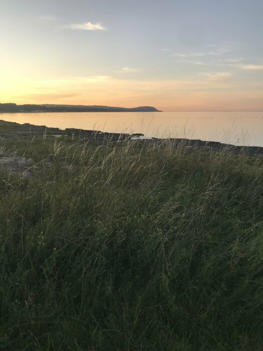 Gräsbevuxen strand i Vik på en lördagskväll med vy mot Stenshuvud och solnedgång över vattnet i bakgrunden.