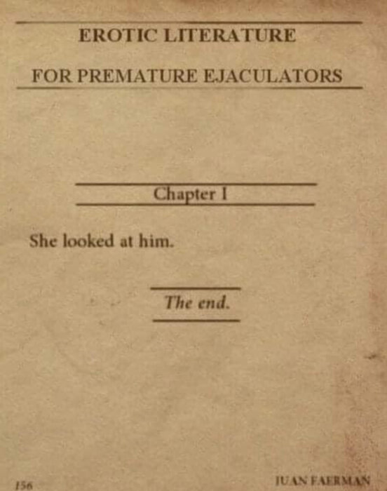 Boksida med titeln "Erotic Literature for Premature Ejaculators", kapitel 1 säger "She looked at him." och texten "The end" avslutar sidan.