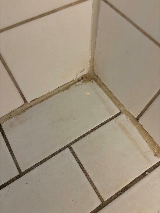 Klinkrad duschhörna med spruckna fogar och tjockt silikon i hörnen. Slingriga hårstrån på golvet och missfärgning vid golvplattans kant mot väggen.