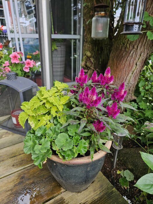 En blomkruka med lila och gröna blommor står på en träveranda, omgiven av andra växter och dekorationer, inklusive lanternor och en stor trädstam i bakgrunden.