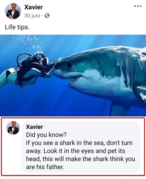 En dykare klappar en haj i havet, med texten "Life tips" och ett inlägg som rekommenderar att klappa en haj för att få den att tro att du är dess far.