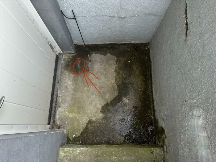 Trappa ner till ett källarutrymme med betonggolv i botten och en golvbrunn markerad med en röd cirkel och pil. Vatten fläckar på golvet.