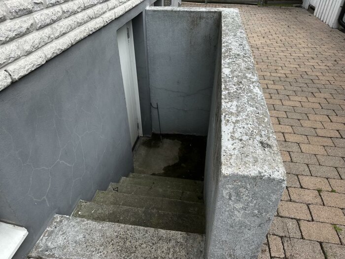 Trappa utomhus som leder ner till en källardörr med betongväggar och en golvbrunn i botten där vatten samlas.