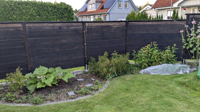 Svartmålat plank i trädgård med växter och gräsmatta framför, hus i bakgrunden. 14 år gammal linoljebehandlad träpanel.