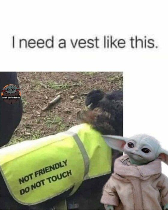 En hund med en gul väst där det står "NOT FRIENDLY DO NOT TOUCH", tillsammans med en bild av en Baby Yoda-figur och texten "I need a vest like this".