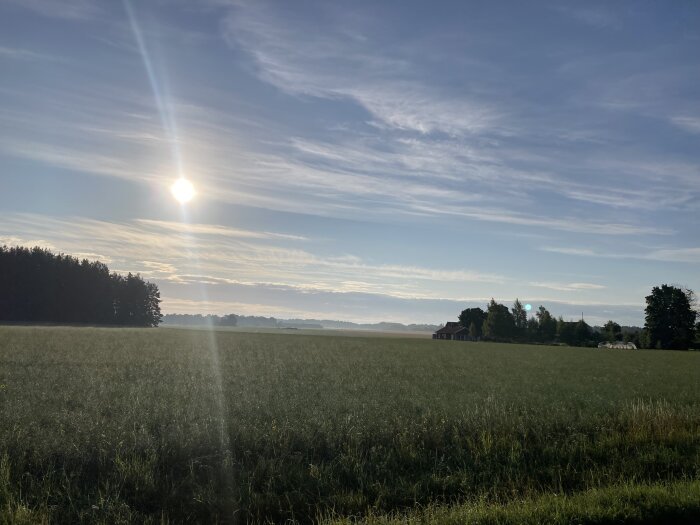 Solen stiger över ett landskap med gröna fält och en skogsdunge till vänster. I höger bakgrund syns några hus omgivna av träd.