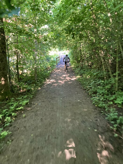 En person cyklar på en smal stig omgiven av tät skog på båda sidor under en solig dag.