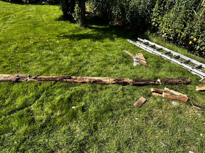 Gammal syll borttagen från ett byggprojekt, ligger på en gräsmatta bredvid en stege och träbitar.