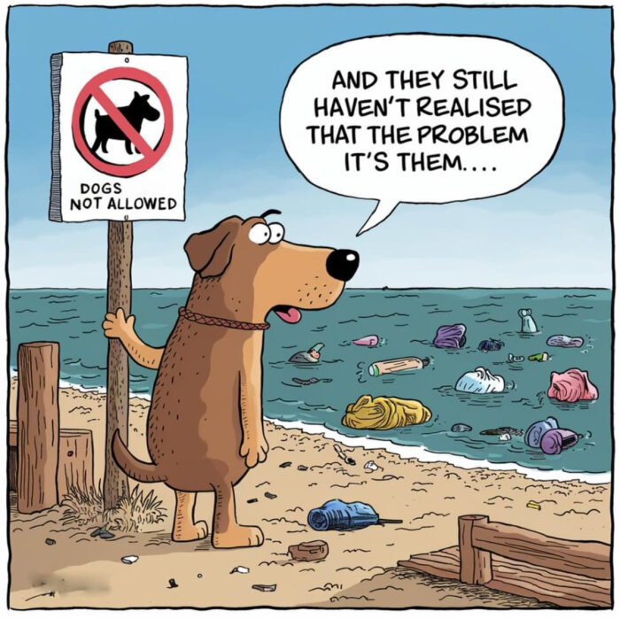 En tecknad hund står bredvid en skylt där det står "Dogs not allowed" och tittar ut över en skräpig strand, tänker "And they still haven't realised that the problem it's them...".