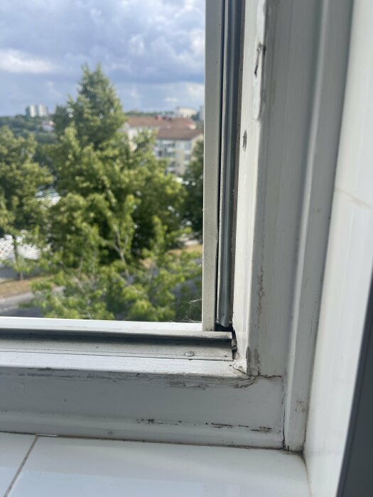 Fönsterkarm i vitt trä med synliga skador och röta, fotograferad med utsikt över grönska och flerbostadshus i bakgrunden.