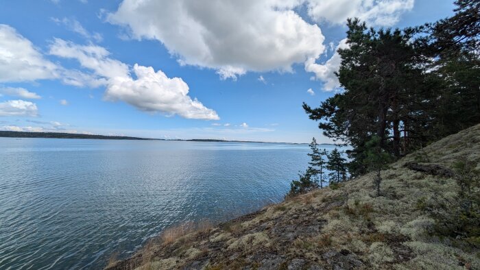 Kustbild med blått hav, klar himmel och vita moln. Skog och klippor syns till höger i förgrunden.