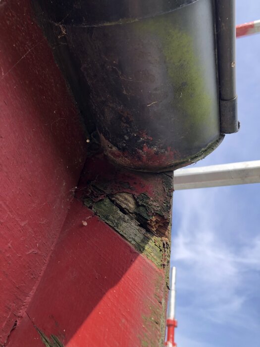 Närbild av baksidan på en röd trävägg med fuktskadad och ruttet trä vid basen av ett stuprör.
