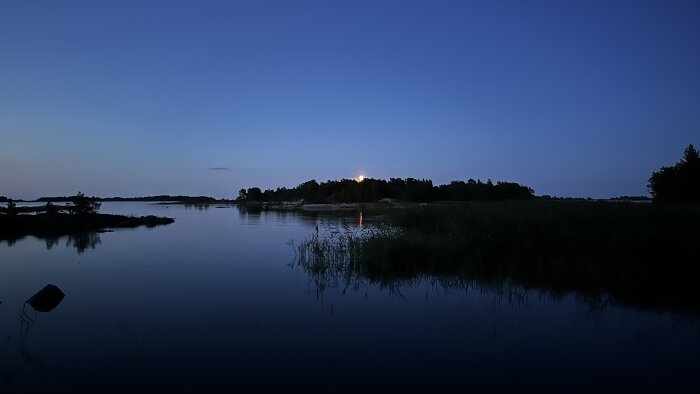 Glödande måne synlig över en skogsklädd ö vid en stilla sjö i skymningen, med reflekterande vatten och gräs i förgrunden.