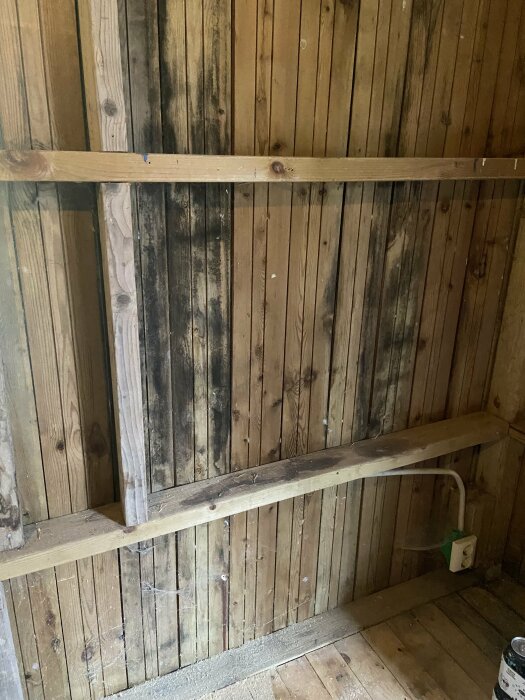 Träpanel och reglar i ett förråd, visar mögelangrepp på vissa paneler och delar av reglarna. Golvet består av träplankor över en betongplatta.
