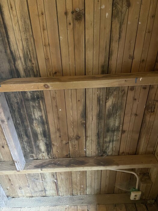 Inre vägg av trädpanel med mögelfläckar i ett oisolerat förråd, synliga reglar och en eluttag med vajrar i nedre hörnet.
