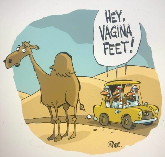 En tecknad bild av en kamel i öknen och en bil med tre passagerare som säger "Hey, vagina feet!".
