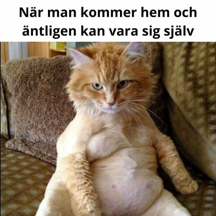 En orange katt sitter avslappnad på en soffa med texten ovanför "När man kommer hem och äntligen kan vara sig själv".