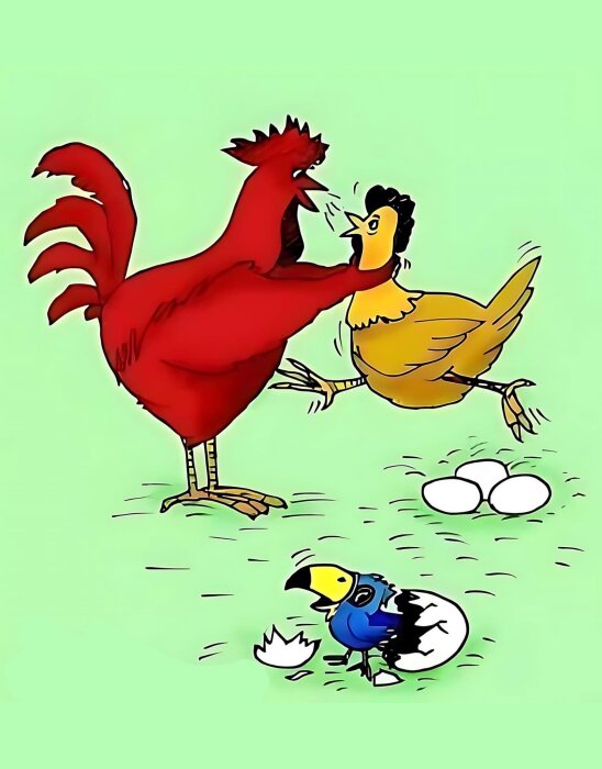 En röd tupp och en gul höna bråkar medan en blåfärgad papegoja kläcks ur ett ägg intill tre okläckta ägg på en grön bakgrund.