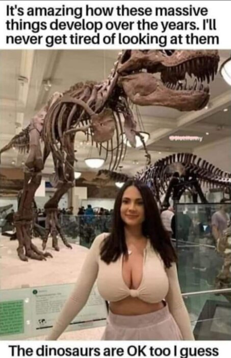 Kvinna poserar framför ett dinosaurieskelett på ett museum med en humoristisk text ovanför och under bilden.