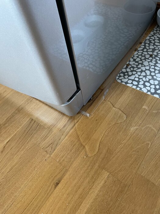 Äldre kylskåp av märket Zanussi med vattenläckage vid dörrens nedre kant på en trägolvsyta. Vatten har spridit sig på golvet framför kylskåpet.